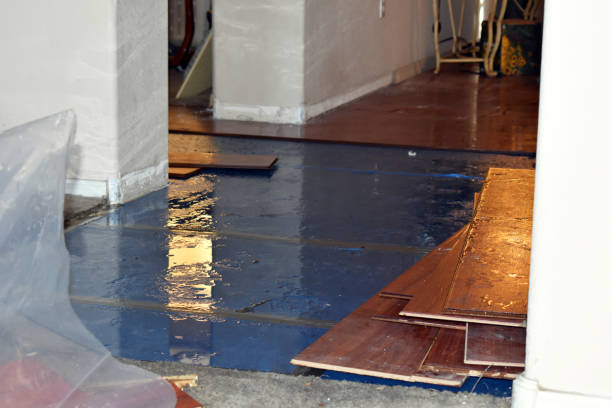 Professional Burst Pipe Cleanup technician working in Clinton, ME